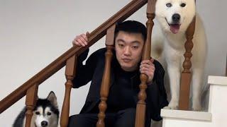 穩定的情緒源自於爹地對他們持久的愛，日復一日從未改變