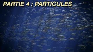 Blender 2 91 Création d'un Banc de poisson 4 Particules et compositing