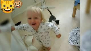 Funny pets annoying babys//funny babies pet compilation//funny pets wit kids//funny cat babys 2018.