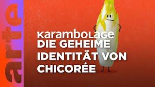 Chicorée: Was ist das? | Karambolage | ARTE