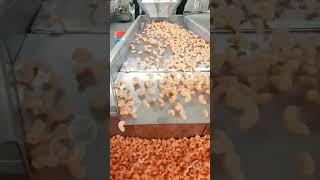 How to Make Macaroni in Factory - Complete Solution