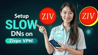 Setup Slow DNS on Zivpn VPN with UDP Custom Website