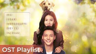 OST Playlist A Date With The Future《照亮你》 | William Chan, Zhang Ruonan