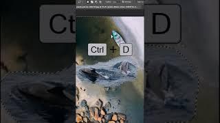 How to Blend Two Different Images with Auto Blend Layers in photoshop 2024