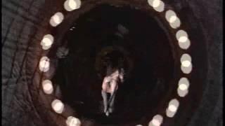 The Parable of the Trapeze - Danaan Parry