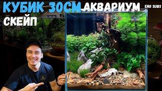 НОВЫЙ СКЕЙП | АКВАРИУМ КУБИК 30СМ | NEW SCAPE CUBE AQUARIUM 30CM | TUTORIAL