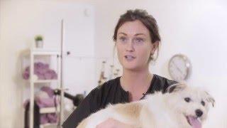 Vanity Fur Services