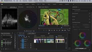 Adobe Premiere Pro CC: Measure & Adjust Skin Tones - Larry Jordan PowerUp Webinar 268