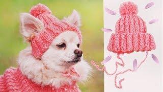 ШАПКА ДЛЯ СОБАКИ | DIY HAT FOR DOG