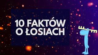 10 faktów o łosiach