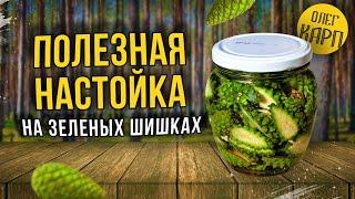 Мегаполезная настойка на ЗЕЛЕНЫХ ШИШКАХ.  Рецепт и как сделать.