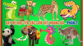 Dạy bé học tên các con vật hoang dã - 25 con vật hoang dã trên rừng và dưới biển - Học cùng bé Happy