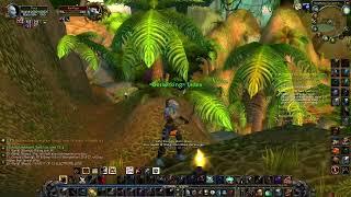 Turtle WoW Hunter solo Kin'Tozo