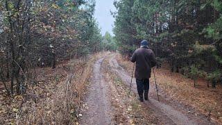 Наша прогулка в осенний лес.