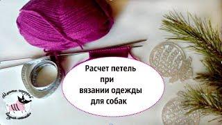 Расчет петель при вязании одежды для собак. Уроки вязания на канале "моськин гардероб"