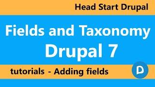 Adding taxonomy in fields drupal 7