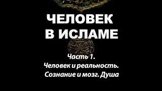 Человек в исламе - 1 (Человек и реальность. Сознание и мозг. Душа): цикл Амина Рамина