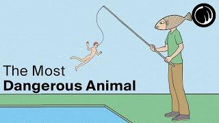 Possibly The Most Dangerous Animal In The World