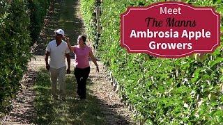 Meet Your BC Ambrosia Apple Growers   Ronnie and Avtar Mann