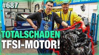 TOTALSCHADEN TFSI-Motor!!  Können wir ihn überholen? | Opel Omega nimmt kein Gas an! LIVE-DIAGNOSE