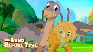 Being Brave  | 1 Hour of Full Episodes | The Land Before Time