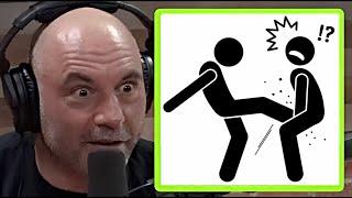 Joe Rogan on Getting Kicked in the Balls