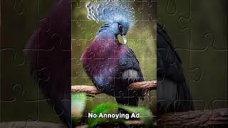 Jigsaw world