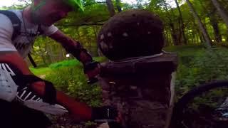 MTB Night in Wildlife