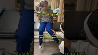 Hip internal rotation MMT demo #datacollection #hip