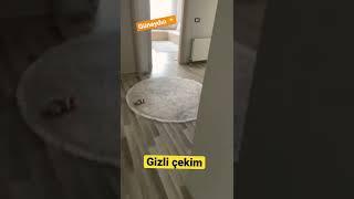 Gizli çekim baba kız ne yapıyor  #keşfet #keşfetteyiz #viral #shortvideo #youtuber #vlog