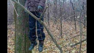Базаримо