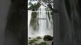 Wisdom - Dream