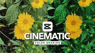 Tutorial Edit Video Cinematic Color Grading di Capcut - Capcut Tutorial