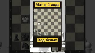 Задача №26 Мат в 2 хода, ход белых #шахматы #chess #chorts