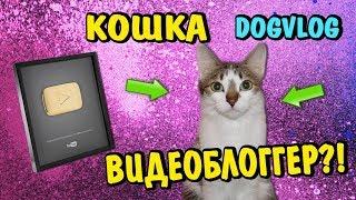 КОШКА ВИДЕОБЛОГЕР?! КАМНЕЕШКА СУЩЕСТВУЕТ?! Мультики про говорящую собаку