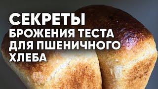 Все СЕКРЕТЫ правильного БРОЖЕНИЯ ТЕСТА для выпечки формового ПШЕНИЧНОГО ХЛЕБА