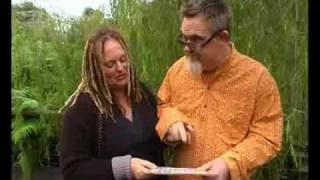 QWERTY - Linsey Pollak, Peter Rowe, Terri Delaney