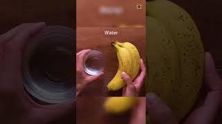 How to Keep vegetables and fruits fresh without freeze .