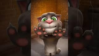 Talking Tom Scratching