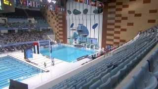 FINA Diving World Series Platform 10m Women Sync Dubai 2012 clip