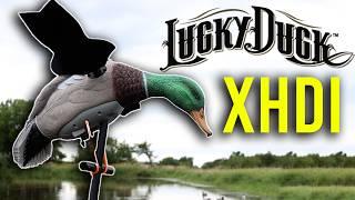 Lucky Duck XHDI Spinning Wing Decoy