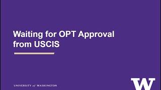 Waiting for OPT Approval from USCIS