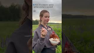 У нас на ферме только такие диеты #курицы #ферма #дача