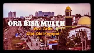 Ora Bisa Mulih voc Arda Cip Didi Kempot