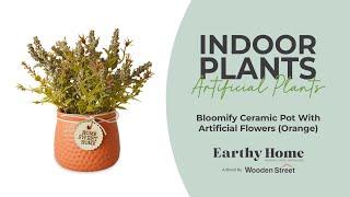 Bloomify Ceramic Pot With Artificial Flowers (Orange) | Wooden Street