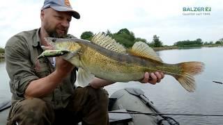Matze Koch: UV Wobbler in the test - Fish on fish