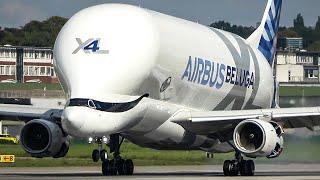 AIRBUS BELUGA XL LANDING and Departure - THE FLYING WHALE (4K)