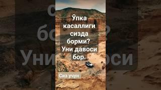 ўпка касаллиги #islom #kuran #motivation #quran