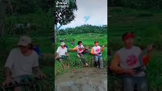 menghibur diri sambil membajak sawah