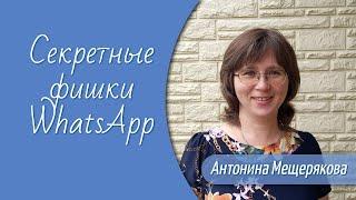 Секретные фишки WhatsApp